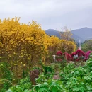 漳州旅游 缩略图 2