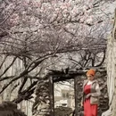 乌鲁木齐旅游 缩略图 2