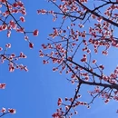 乌鲁木齐旅游 缩略图 6