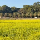 漳州旅游 缩略图 4