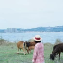 漳州旅游 缩略图 4