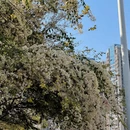 漳州旅游 缩略图 5