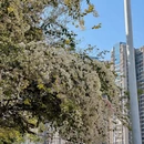 漳州旅游 缩略图 3