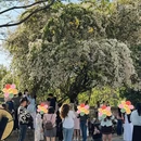漳州旅游 缩略图 4