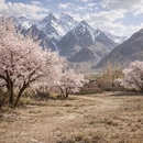 喀什地区旅游 缩略图 7