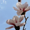 长治旅游 缩略图 2