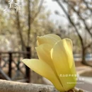 长治旅游 缩略图 3