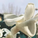 长治旅游 缩略图 4