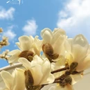 长治旅游 缩略图 7