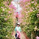 漳州旅游 缩略图 15