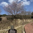 漳州旅游 缩略图 1