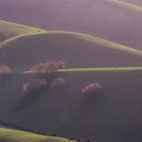 喀什地区旅游 缩略图 4
