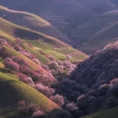 喀什地区旅游 缩略图 5