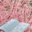 漳州旅游 缩略图 5