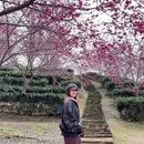 漳州旅游 缩略图 3