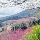 漳州旅游 缩略图 5