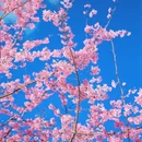 漳州旅游 缩略图 10