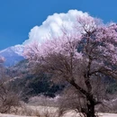 甘南旅游 缩略图 3