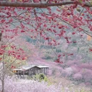 漳州旅游 缩略图 2
