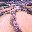 甘南旅游 缩略图 5