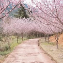 漳州旅游 缩略图 5