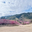 漳州旅游 缩略图 10