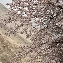 喀什地区旅游 缩略图 2