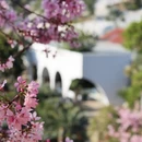 深圳旅游 缩略图 8