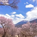 甘南旅游 缩略图 1
