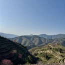 漳州旅游 缩略图 5