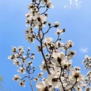 长治旅游 缩略图 10