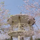 漳州旅游 缩略图 7