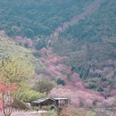 漳州旅游 缩略图 7