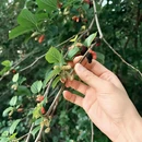 漳州旅游 缩略图 10