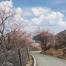 甘南旅游 缩略图 9
