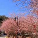 漳州旅游 缩略图 2