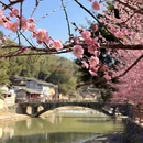漳州旅游 缩略图 3