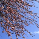 漳州旅游 缩略图 4
