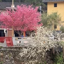 漳州旅游 缩略图 5