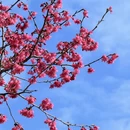 漳州旅游 缩略图 8