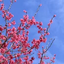 漳州旅游 缩略图 9