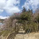 漳州旅游 缩略图 5