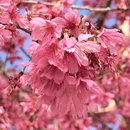 漳州旅游 缩略图 10