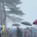 黄山旅游 缩略图 1