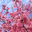 漳州旅游 缩略图 12