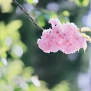 北京旅游 缩略图 4