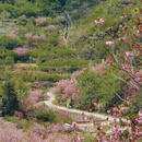 宁波旅游 缩略图 2