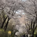 北京旅游 缩略图 2