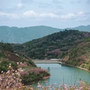 宁波旅游 缩略图 8