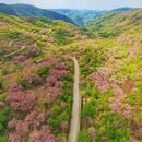 宁波旅游 缩略图 1